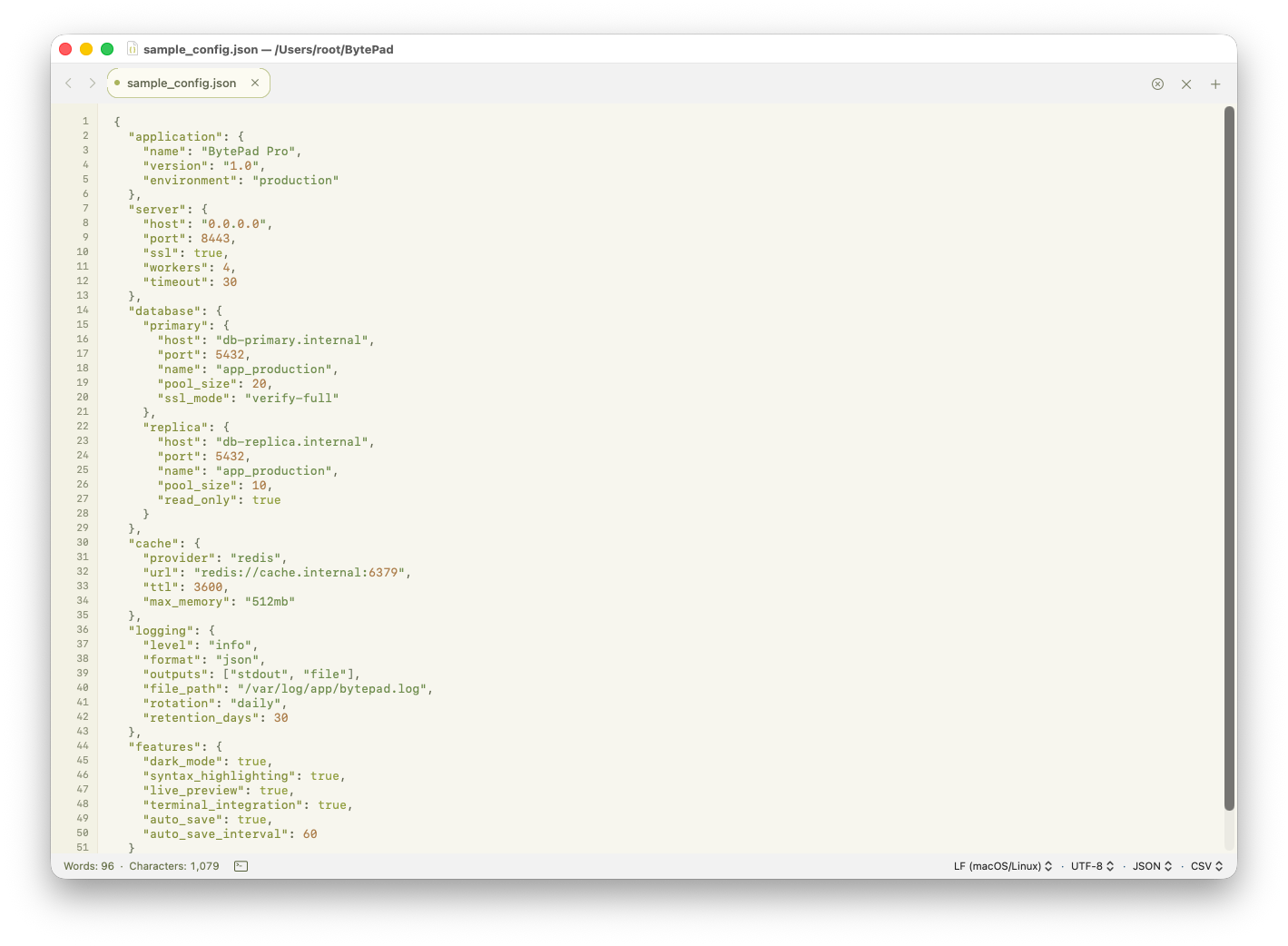 BytePad Pro — JSON file editing with syntax highlighting